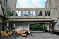 Bild (12)